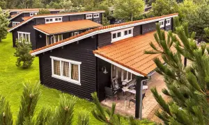 Czarny bungalow z pomarańczowym dachem, otoczony zielenią. Idealne miejsce na wypoczynek, zastanawiasz się bungalow co to?