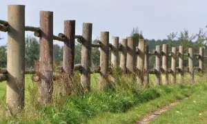 Drewniane ogrodzenie z bali na tle zielonej łąki i drzew.