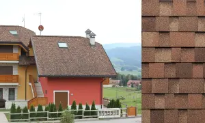 Domy z brązowymi dachami pokrytymi papą podkładową. W tle zielone wzgórza i wiejskie krajobrazy.