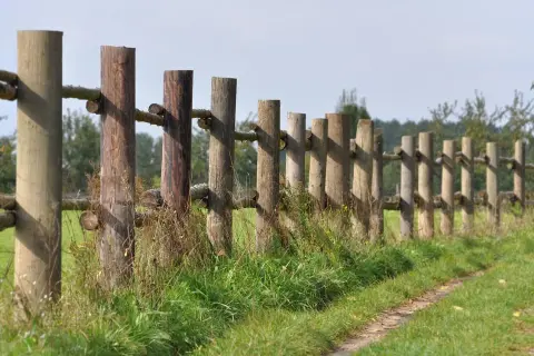 Drewniane ogrodzenie z bali na tle zielonej łąki i drzew.