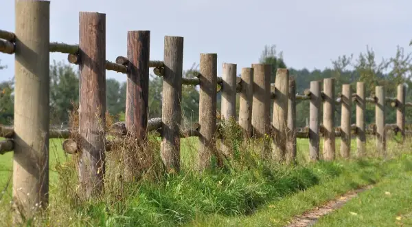 Drewniane ogrodzenie z bali na tle zielonej łąki i drzew.
