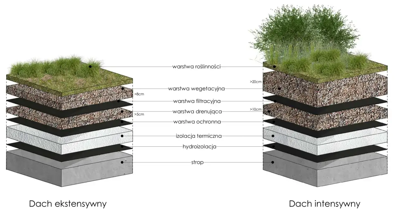 Schemat dwóch typów zielonych dachów: ekstensywnego i intensywnego, z warstwami roślinności, substratu, filtracji, drenażu i izolacji.